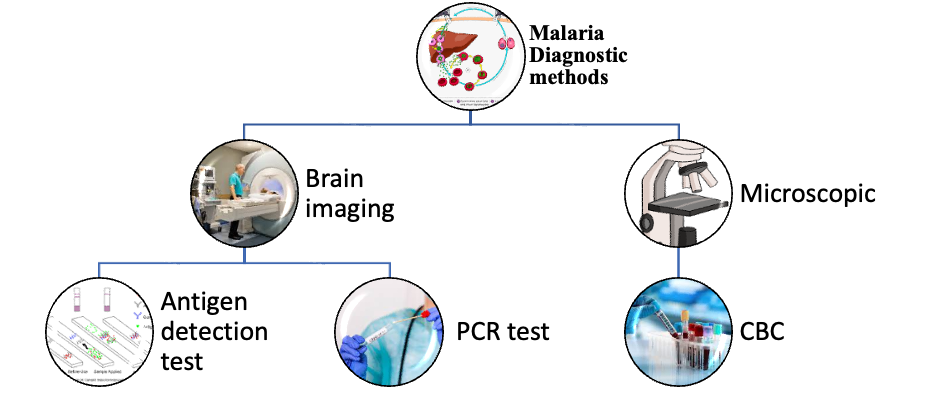 Diagnostic methods for Malaria
